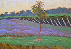 Grape Vines & Lavender
